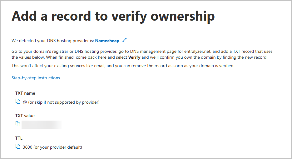 dns text record details