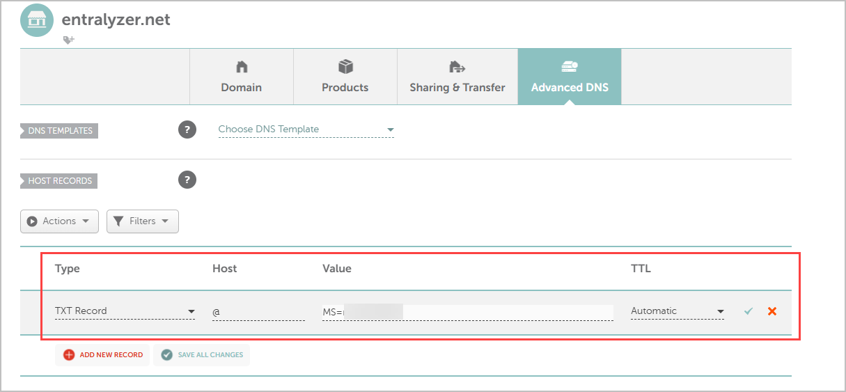 enter txt record details