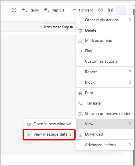 owa view message details